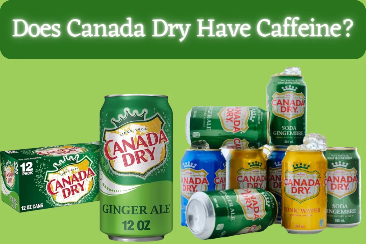 Does Canada Dry Have Caffeine?