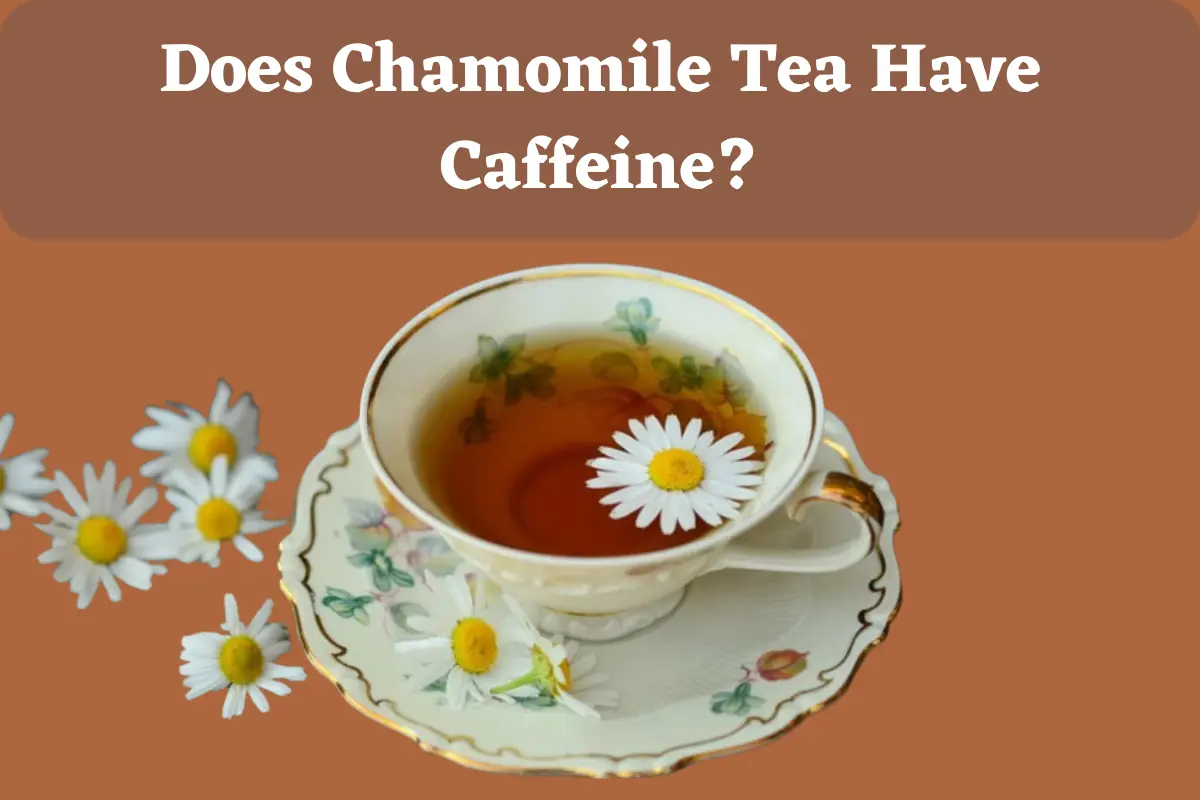 does chamomile tea have caffeine?